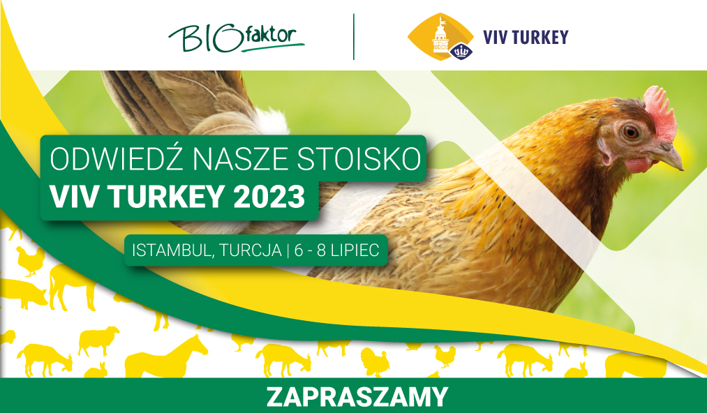 Viv Turcja 2023, Istambuł